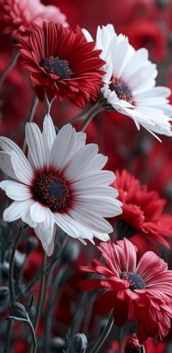 img-a0547c15
