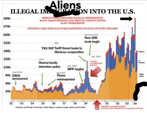 orca-image--10938733