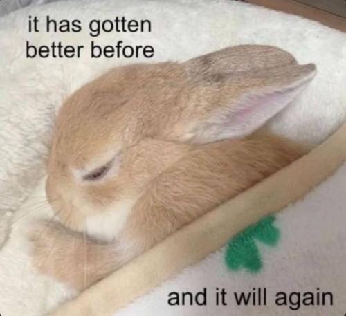 photo_2024-03-31_22-29-40