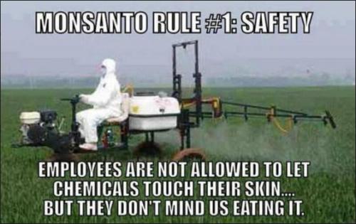 monsanto83