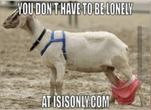 Screenshot_20240402-160010_Brave