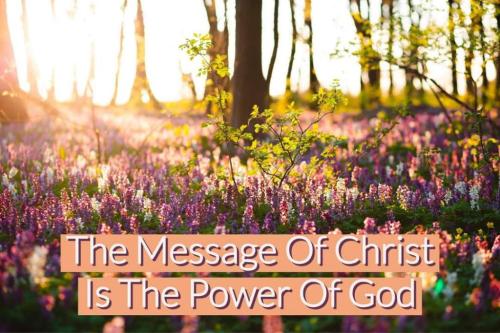 d94cf2bd-6335-4f48-8362-8bedd5ee4247