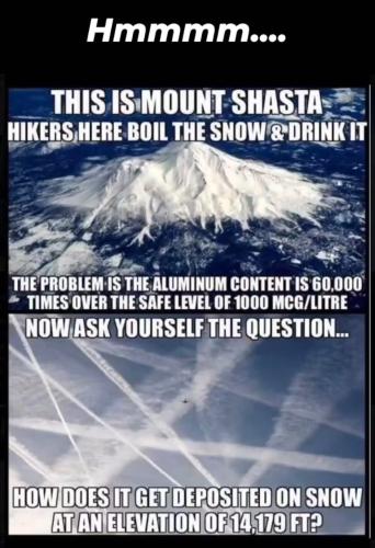 photo_2024-04-09_11-22-24