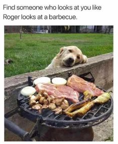 de55cc55b390fbd6c81a6076c778f209