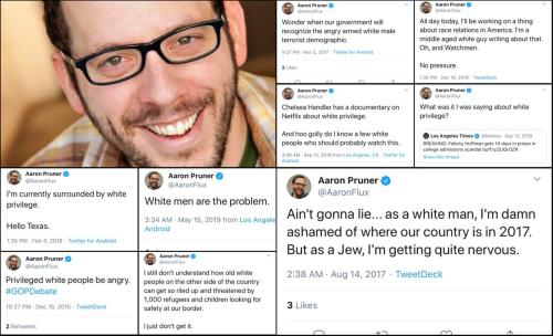 AaronFlux.Aaron_Pruner.b.1