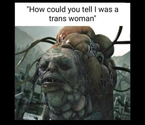 IMG_20240411_180633_889