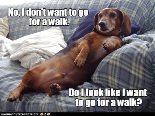 ea6548bebecb1fb61a3024e705c25701