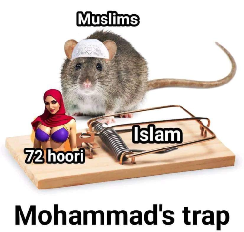 20240409_234115
