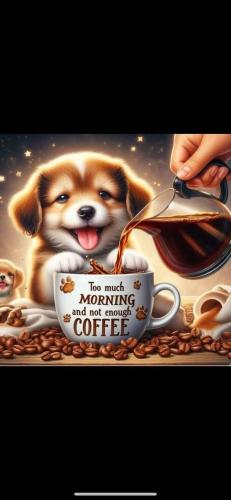 433468403_1798729483922024_8341245304278927543_n