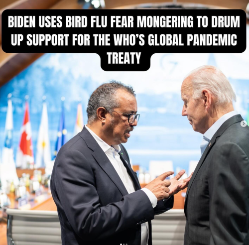 Screenshot 2024-04-19 145037