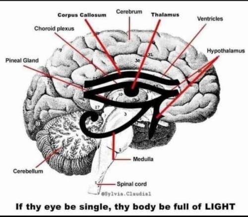 ,,,,  417507823_10163256540