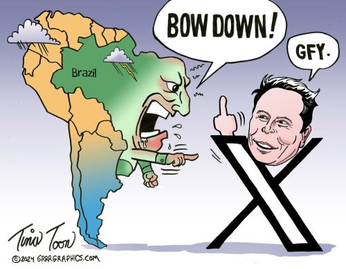 Brazil_and_Musk-tina-toon-1536x1193