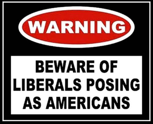 438664360_3721619048165302_6736040457993383513_n