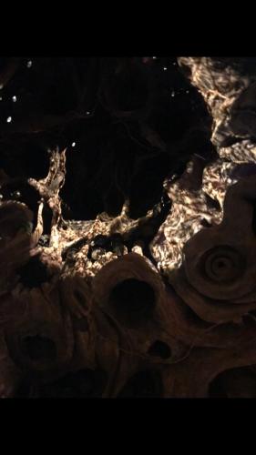 25A0B55A-E984-4D7E-8316-4D6ED359449E