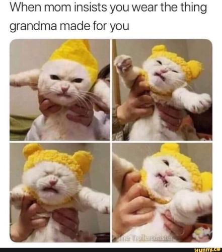 368223e33e62b72f202aa6aa8e9cf725