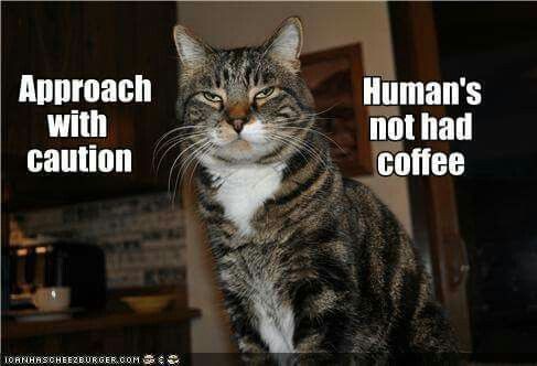 230aa8f663fed70e2232aa8a22c62fb1