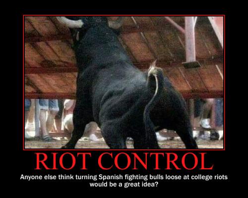 riot control demotivational