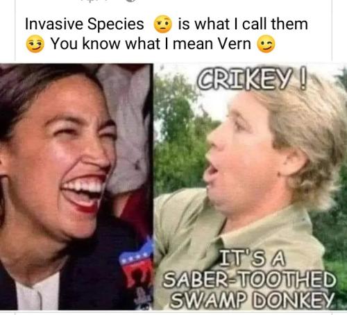 Screenshot_20240408_195235_Lite