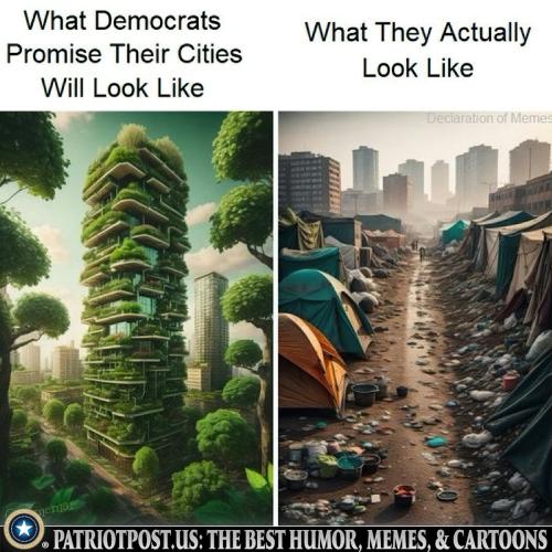 what they look like