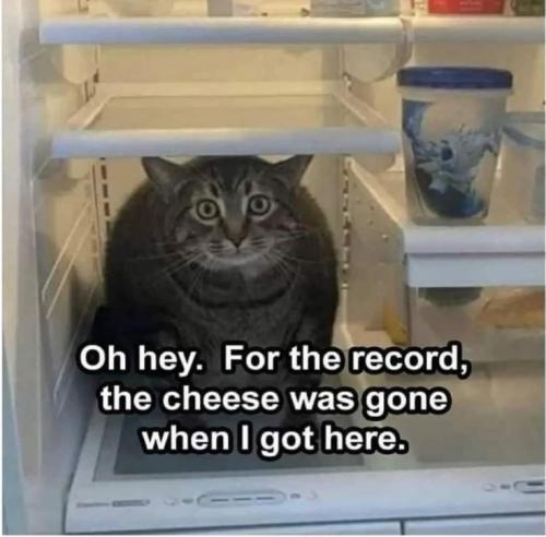 a941d21c0c02c31444ef5509911ef784