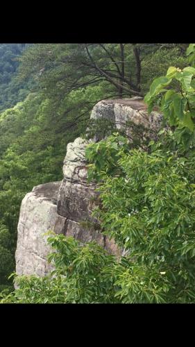 C3239168-DDD1-40A7-800F-6204D9F0B472