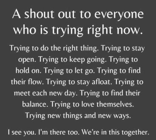 IMG_20240427_114144_906