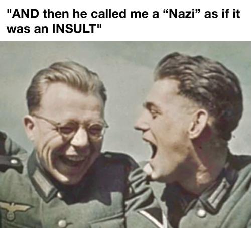nazi is not an insult