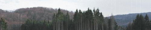 odb20240401