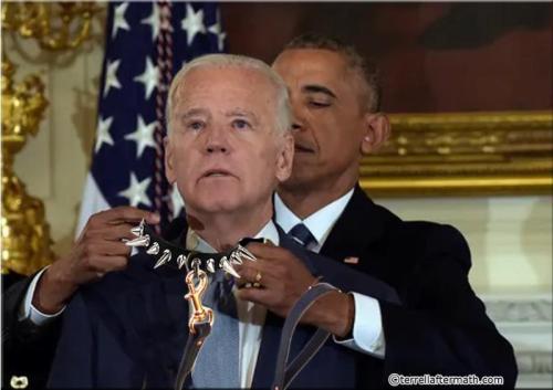 pijffwsdrzorxspla2fu_800[1]