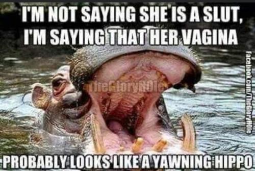 image_95E230AE-3926-479B-8210-3D4D69E1338F