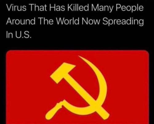 photo_2024-04-12_21-59-32