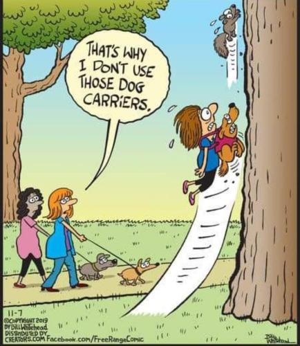 FB_IMG_1713594203071