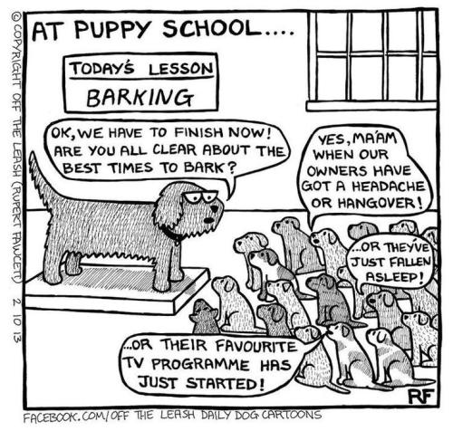 fba388c09f5f70e816e0deb985119ad4