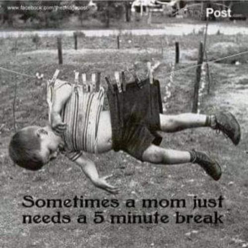 436837040_8039341002762807_1847375034085494693_n