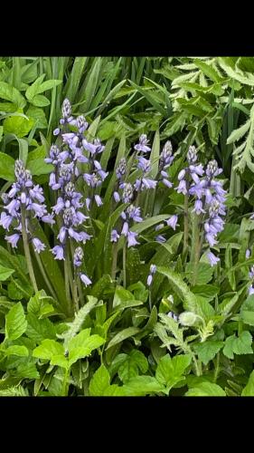 1B8C1700-D687-4A68-AE03-CB29D812C844