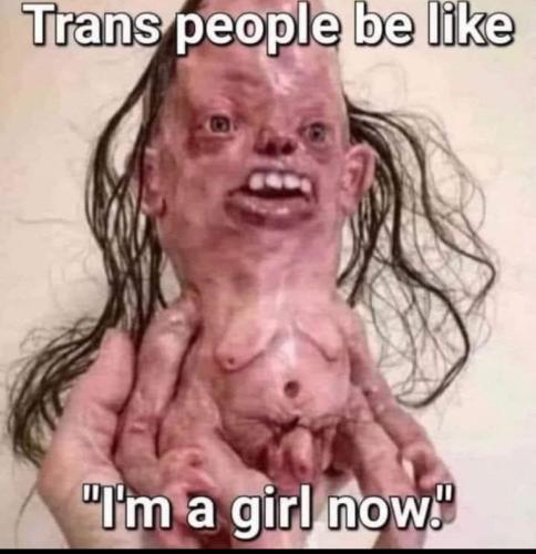 IMG_20240419_044600_408