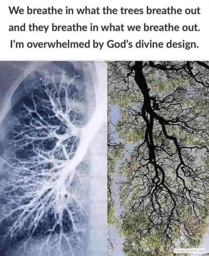 photo_2024-04-21_17-59-08