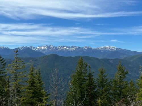 2EF1EB1B-30C8-4B0A-AD36-2B9FA4095B79