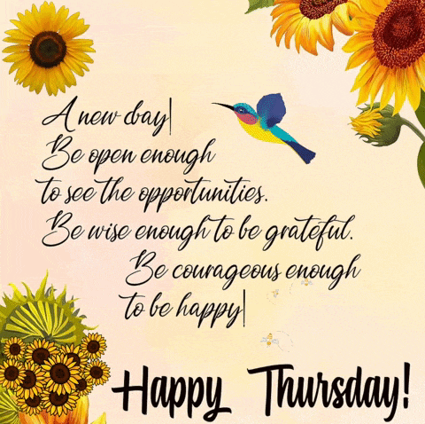 9900a746-83e5-422e-8548-478e68547dec