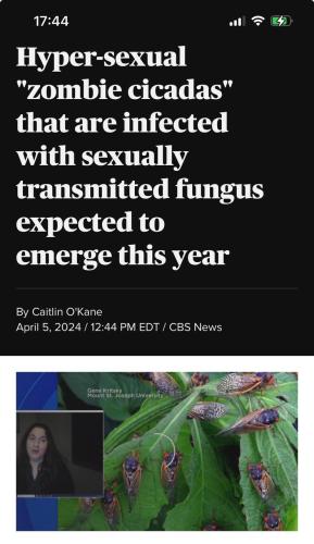 IMG_20240407_075457_256