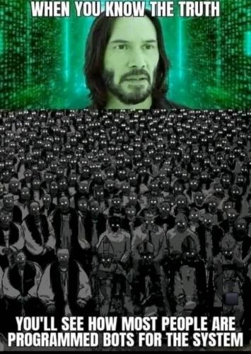 434046317_1375935953799417_2925858432436715081_n