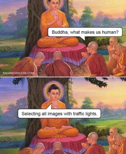 traffic lights