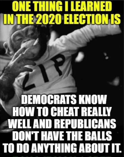 DEM+CHEAT+VOTE