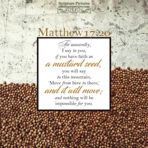FAITH - Matthew 17.20 NKJV