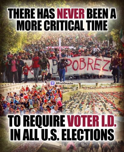 Voter ID 2