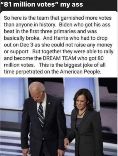 81 MILLION VOTES POTATO