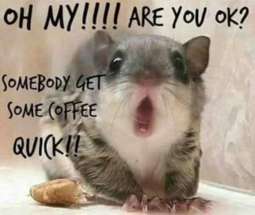 438059890_447960477805952_8837450205747898649_n