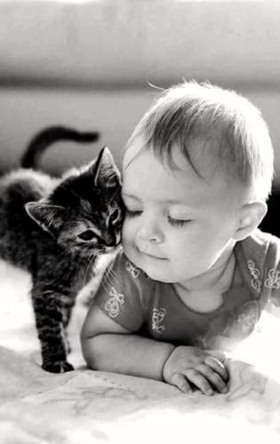 img-09a2777d