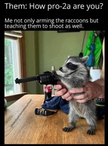 436804147_3618859921691616_8249723718692720160_n