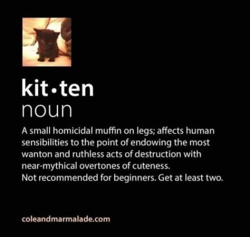 171485063_10224307597892784_2691198051932957268_n